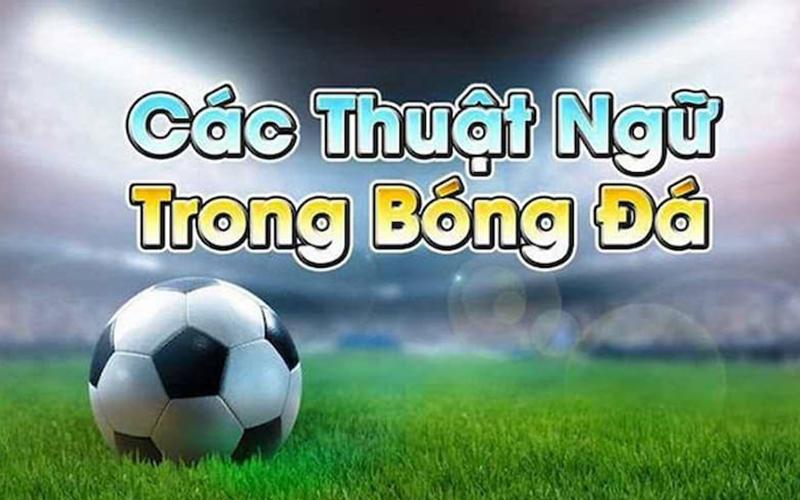 Tổng hợp các thuật ngữ trong cá độ bóng đá 11BET mà bạn cần biết